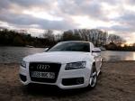Audi A5 Coupe 3.0 TDI Quattro 2007 года